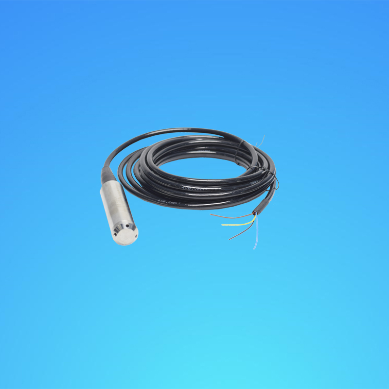 Pressure-type Water Level Gauge