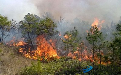 5G-Based Wireless Monitoring Solution for Forest Fire Prevention